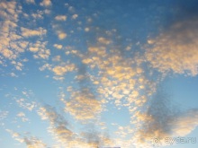 Как мы спасали ёжика и другие прогулки по Кастилии и вокруг Мадрида. Часть 4