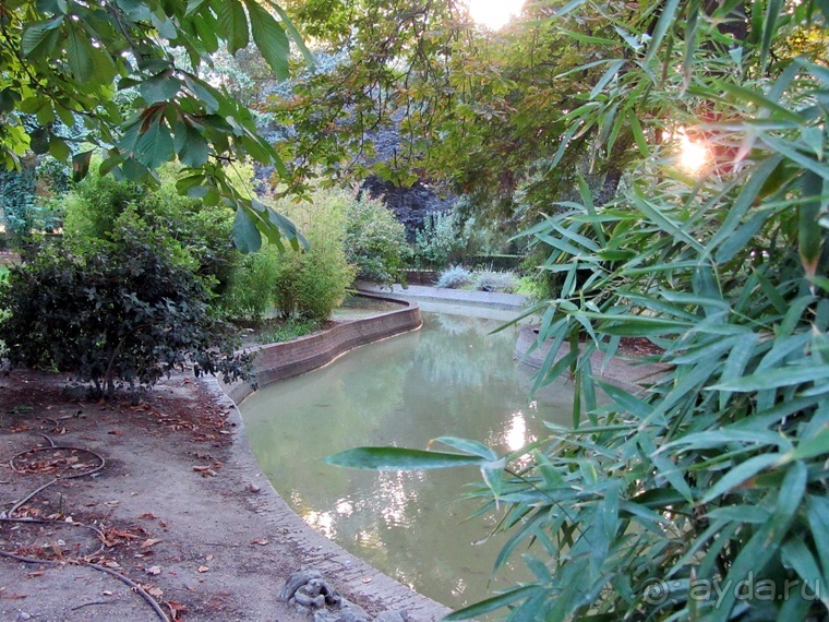 Как мы спасали ёжика и другие прогулки по Кастилии и вокруг Мадрида. Часть 4