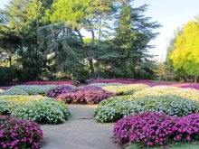 Как мы спасали ёжика и другие прогулки по Кастилии и вокруг Мадрида. Часть 4