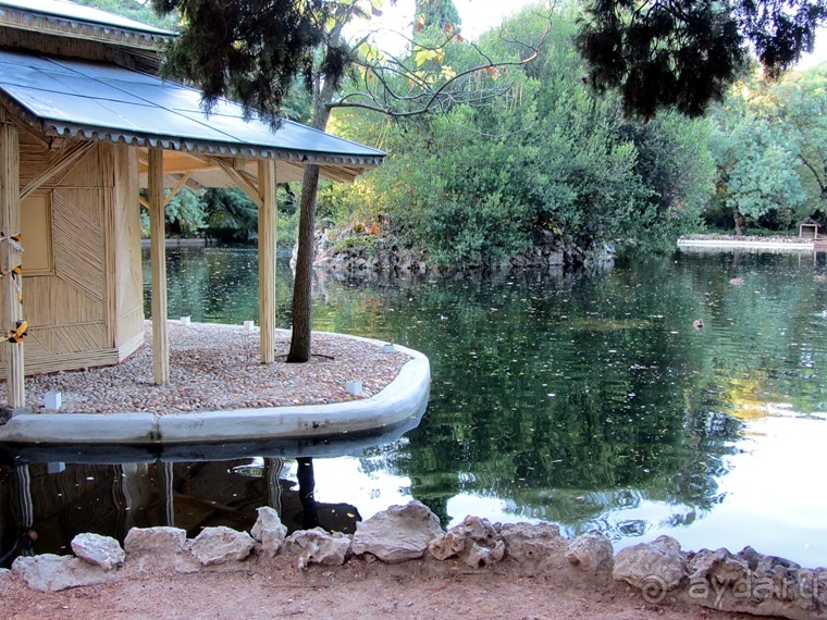 Как мы спасали ёжика и другие прогулки по Кастилии и вокруг Мадрида. Часть 4