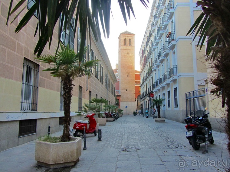 Как мы спасали ёжика и другие прогулки по Кастилии и вокруг Мадрида. Часть 4