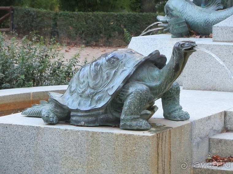 Как мы спасали ёжика и другие прогулки по Кастилии и вокруг Мадрида. Часть 4