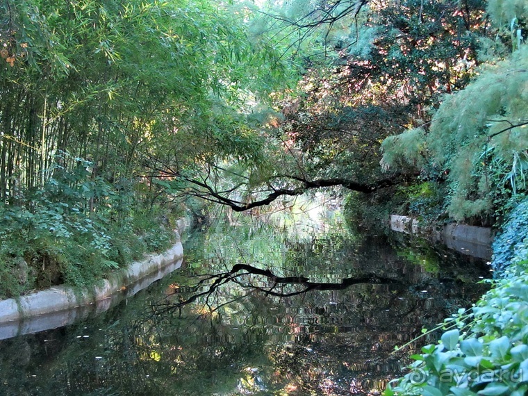 Как мы спасали ёжика и другие прогулки по Кастилии и вокруг Мадрида. Часть 4