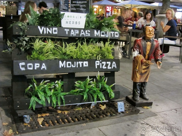 Как мы спасали ёжика и другие прогулки по Кастилии и вокруг Мадрида. Часть 4