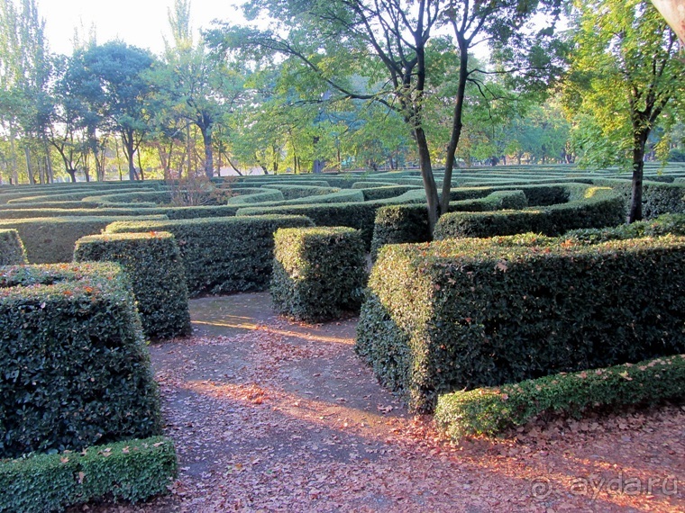 Как мы спасали ёжика и другие прогулки по Кастилии и вокруг Мадрида. Часть 4