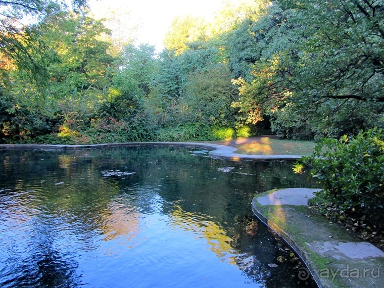 Как мы спасали ёжика и другие прогулки по Кастилии и вокруг Мадрида. Часть 4