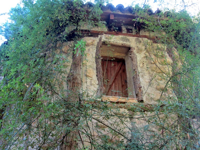 Как мы спасали ёжика и другие прогулки по Кастилии и вокруг Мадрида. Часть 4