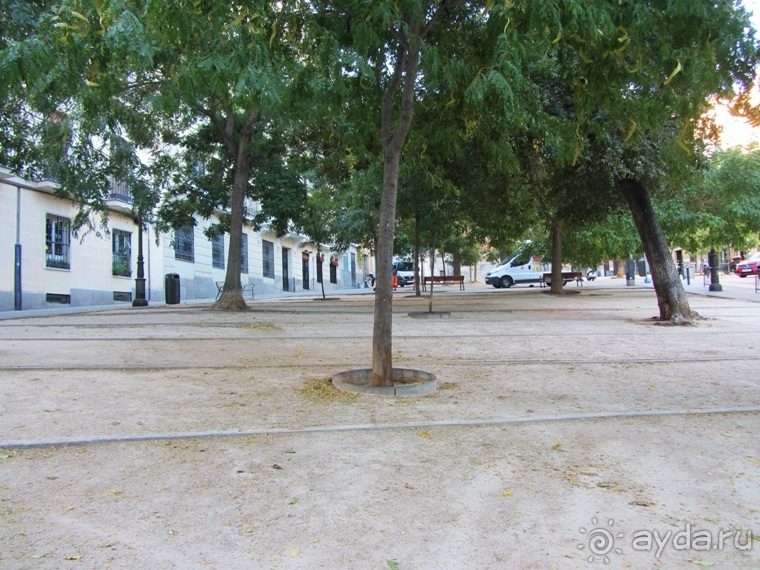 Как мы спасали ёжика и другие прогулки по Кастилии и вокруг Мадрида. Часть 4