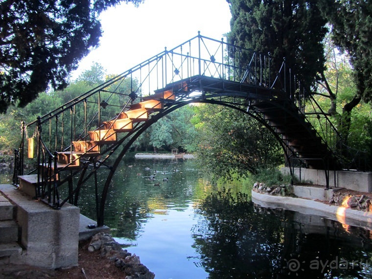 Как мы спасали ёжика и другие прогулки по Кастилии и вокруг Мадрида. Часть 4