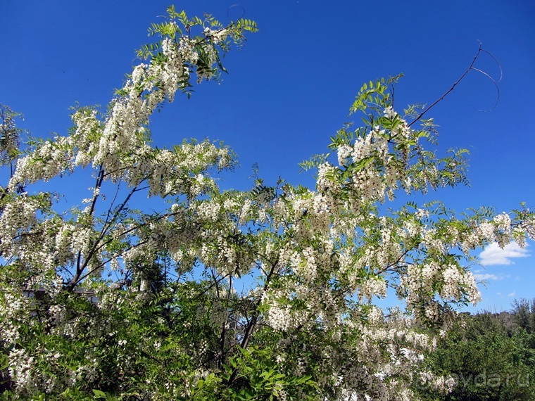 Провинциальная Испания - Сория и окрестности (две Кастилии, Наварра и Арагон). Часть 4