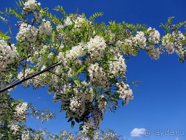 Провинциальная Испания - Сория и окрестности (две Кастилии, Наварра и Арагон). Часть 4