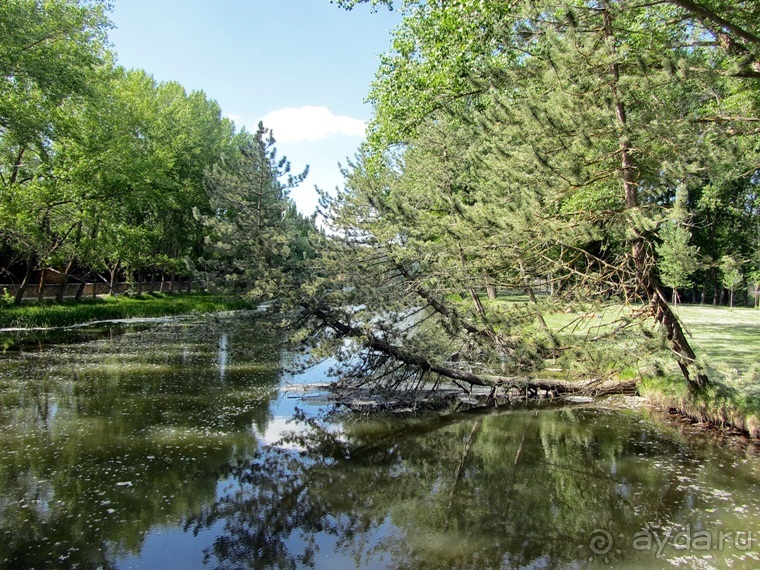 Провинциальная Испания - Сория и окрестности (две Кастилии, Наварра и Арагон). Часть 4