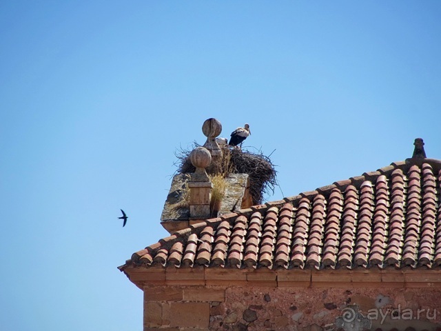 Провинциальная Испания - Сория и окрестности (две Кастилии, Наварра и Арагон). Часть 4