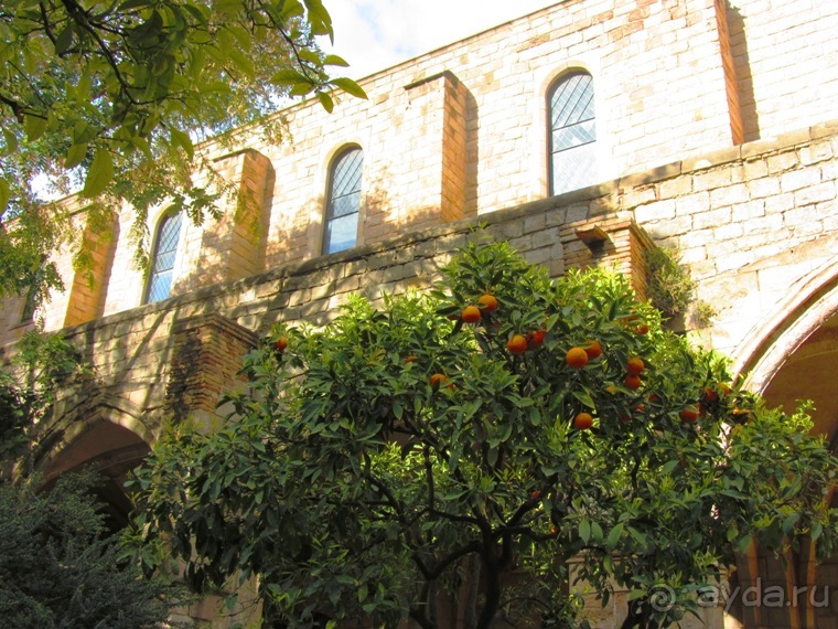 Тайны Барселоны, или была ли жизнь до Гауди ? Часть1