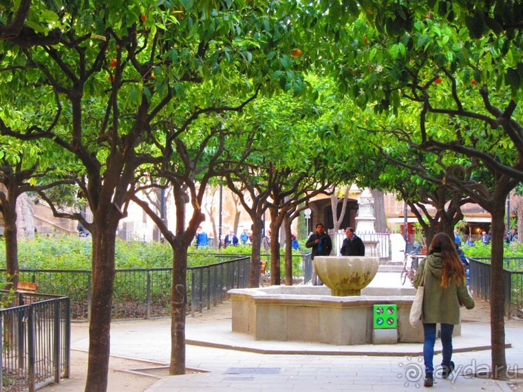 Тайны Барселоны, или была ли жизнь до Гауди ? Часть1