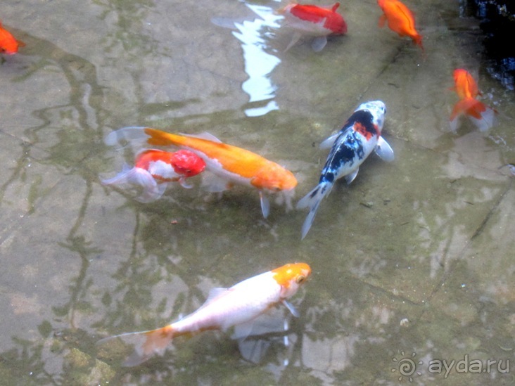 Тайны Барселоны, или была ли жизнь до Гауди ? Часть1