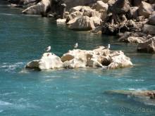 Сиде и окрестности (Зеленый каньон и Селеукия)