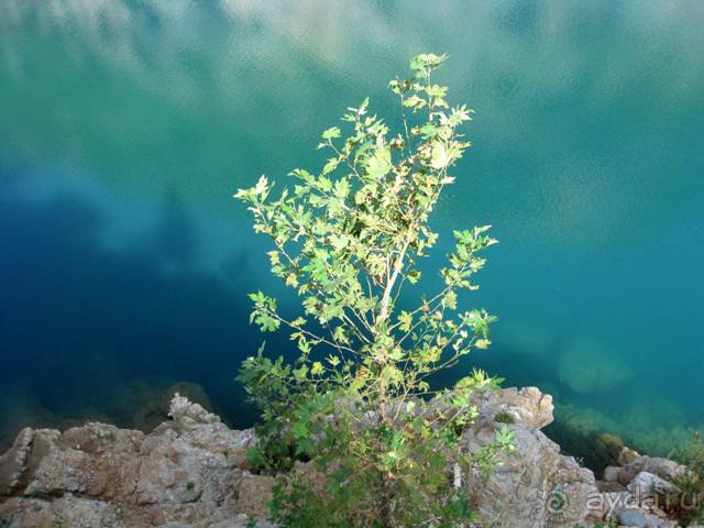 Сиде и окрестности (Зеленый каньон и Селеукия)