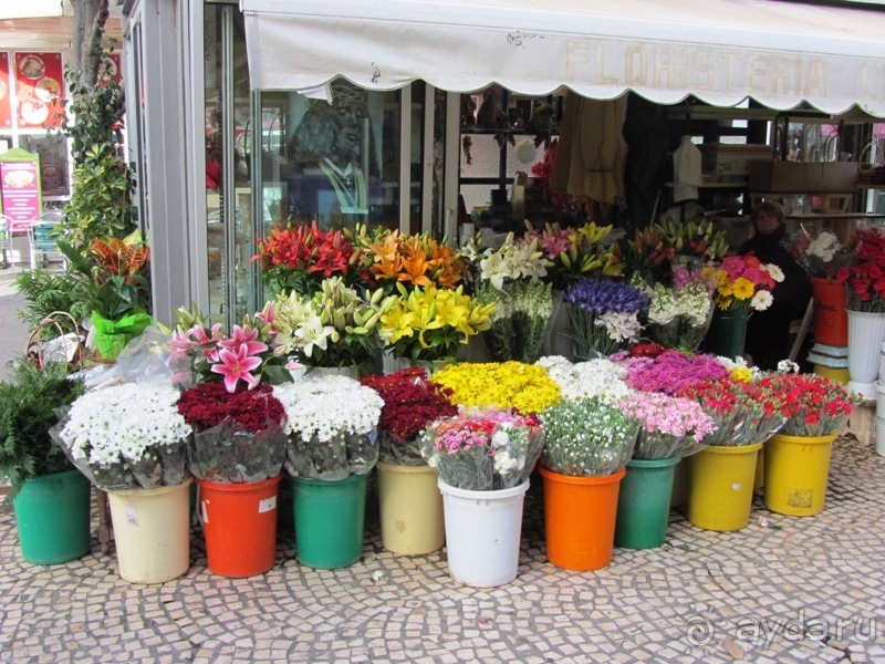 Андалусия-4: Севилья, Кармона, Эсиха, хересный треугольник и кадисский меридиан (часть 6) Андалусия-4: Севилья, Кармона, Эсиха, хересный треугольник и кадисский меридиан (часть 6)