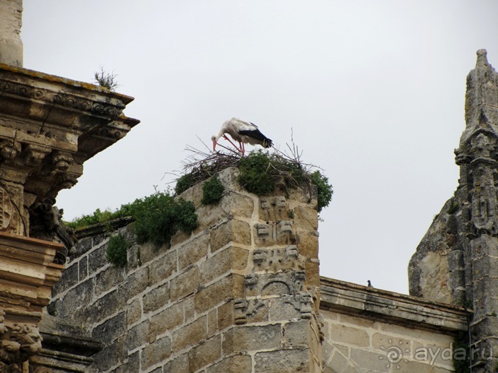 Андалусия-4: Севилья, Кармона, Эсиха, хересный треугольник и кадисский меридиан (часть 6) Андалусия-4: Севилья, Кармона, Эсиха, хересный треугольник и кадисский меридиан (часть 6)