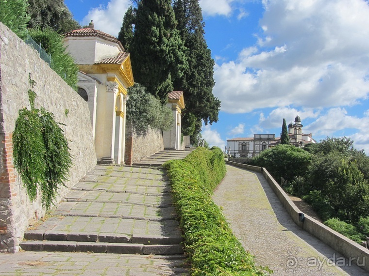 Пицца "североитальянская": Венеция и Венето, Тренто, Падуя и северная Гарда. Часть 4 Пицца "североитальянская": Венеция и Венето, Тренто, Падуя и северная Гарда. Часть 4