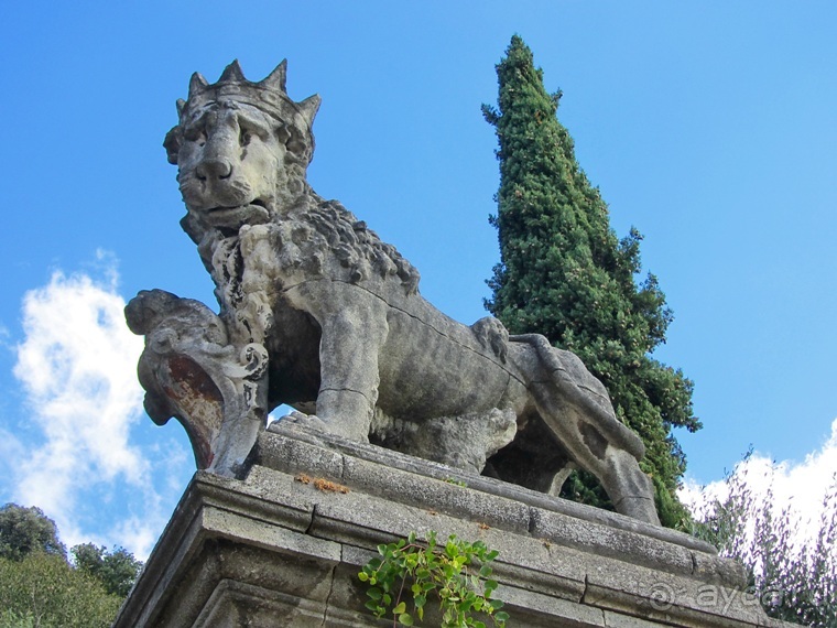 Пицца "североитальянская": Венеция и Венето, Тренто, Падуя и северная Гарда. Часть 4 Пицца "североитальянская": Венеция и Венето, Тренто, Падуя и северная Гарда. Часть 4