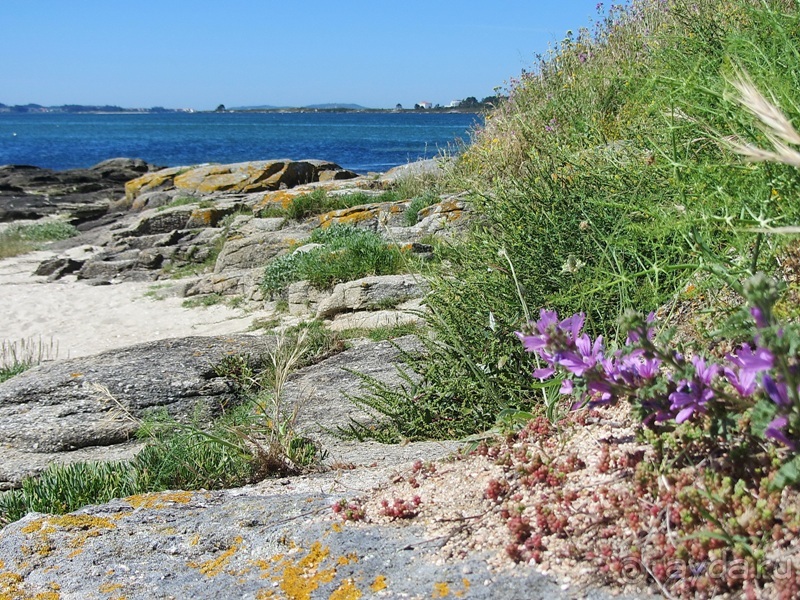 Испанская "Камчатка" - Галисия. Городские путешествия. Часть 8