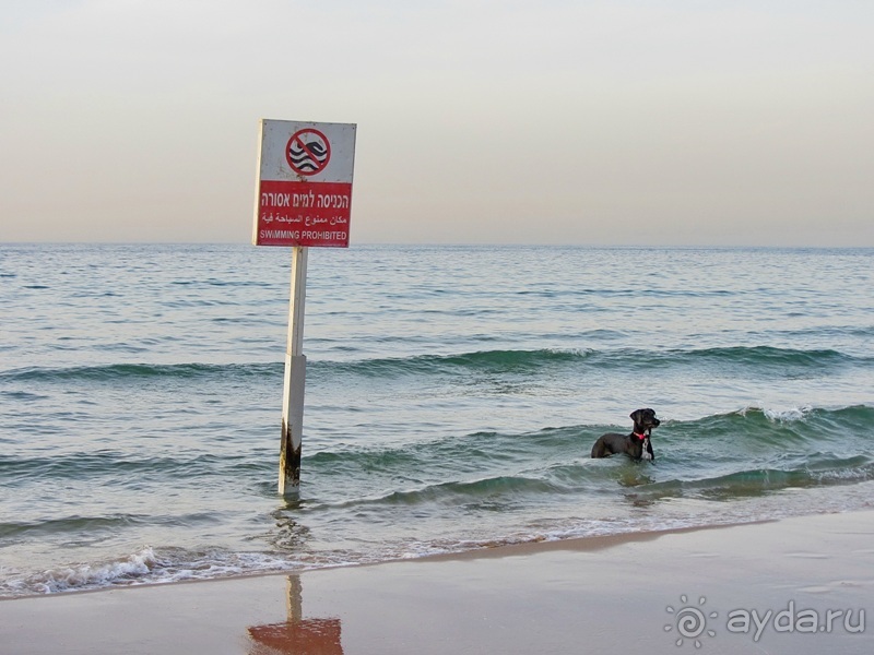 Второе пришествие в Израиль: Тель-Авив - Хайфа - Акко - Цфат - Галилея. Часть 6