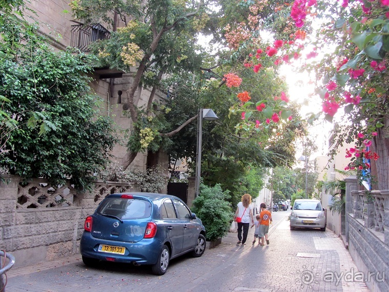 Второе пришествие в Израиль: Тель-Авив - Хайфа - Акко - Цфат - Галилея. Часть 6