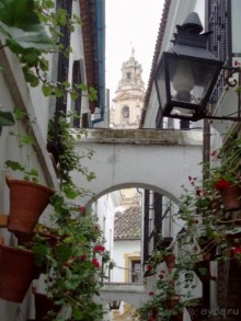 Испания: 5 городов за 5 дней (центр и Андалусия)