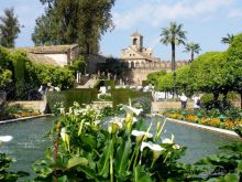 Испания: 5 городов за 5 дней (центр и Андалусия)