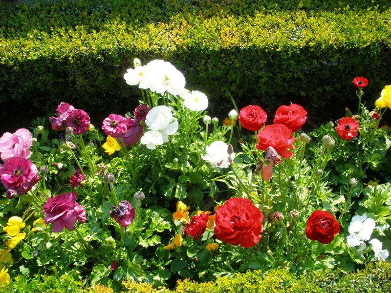 Испания: 5 городов за 5 дней (центр и Андалусия)