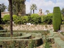 Испания: 5 городов за 5 дней (центр и Андалусия)