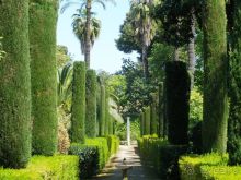 Испания: 5 городов за 5 дней (центр и Андалусия)