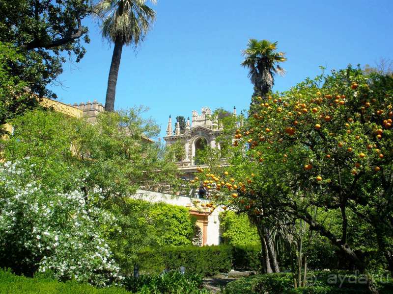 Испания: 5 городов за 5 дней (центр и Андалусия)