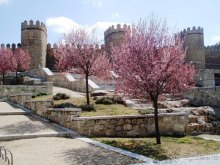 Испания: 5 городов за 5 дней (центр и Андалусия)