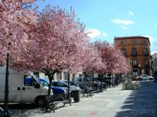 Испания: 5 городов за 5 дней (центр и Андалусия)