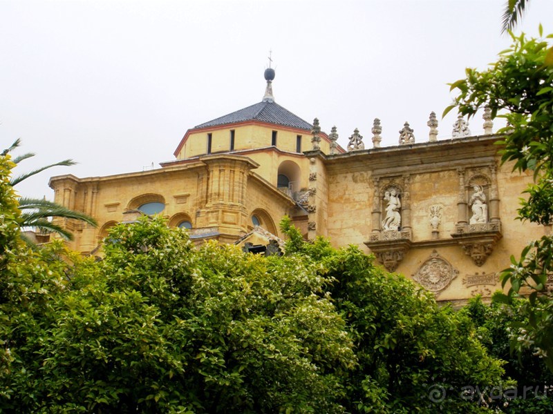 Испания: 5 городов за 5 дней (центр и Андалусия)