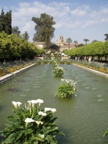 Испания: 5 городов за 5 дней (центр и Андалусия)