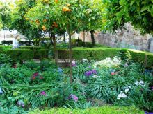 Испания: 5 городов за 5 дней (центр и Андалусия)