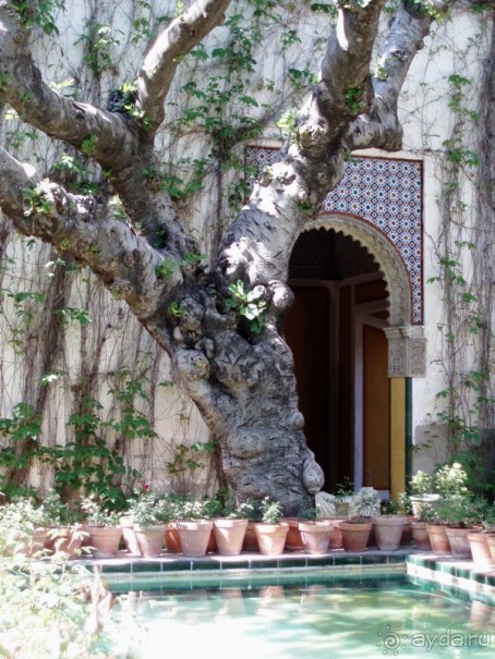 Испания: 5 городов за 5 дней (центр и Андалусия)