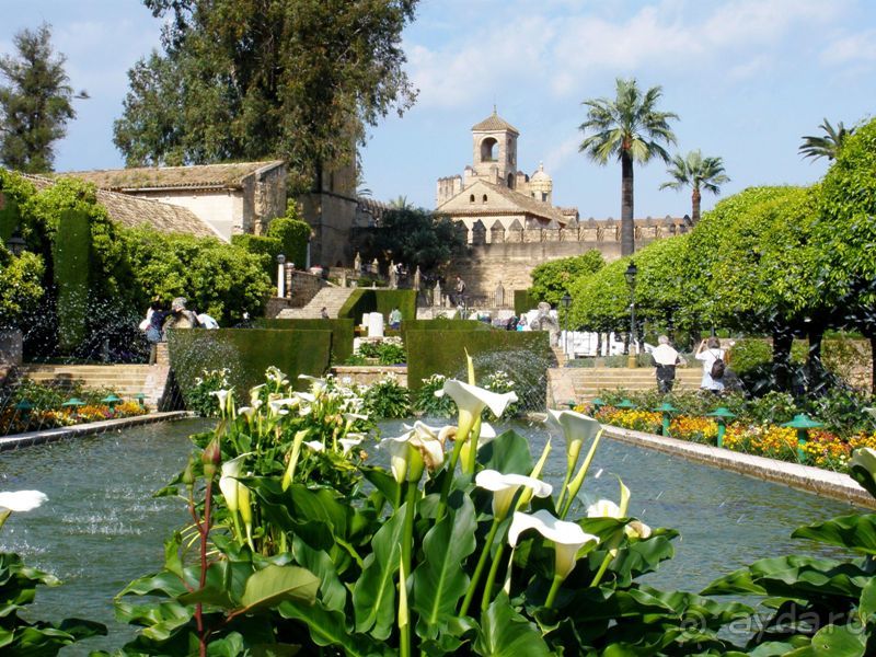 Испания: 5 городов за 5 дней (центр и Андалусия)