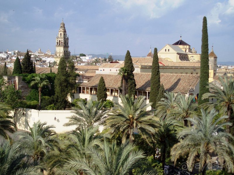 Испания: 5 городов за 5 дней (центр и Андалусия)