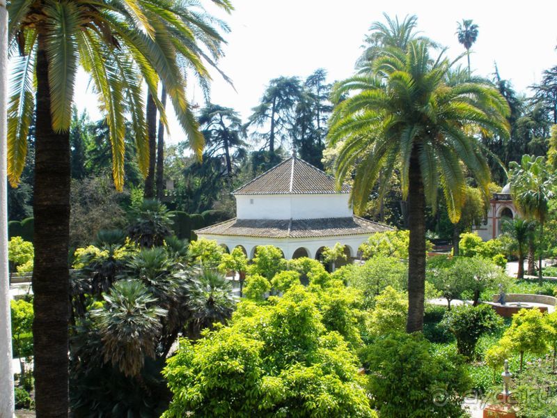 Испания: 5 городов за 5 дней (центр и Андалусия)