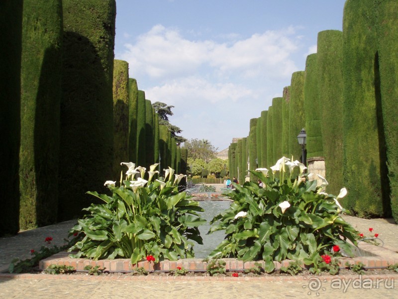 Испания: 5 городов за 5 дней (центр и Андалусия)