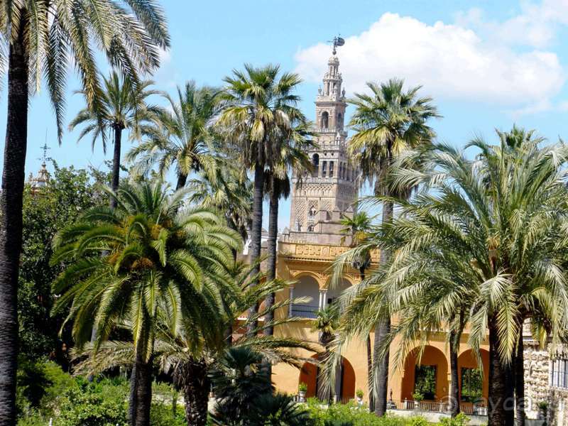 Испания: 5 городов за 5 дней (центр и Андалусия)