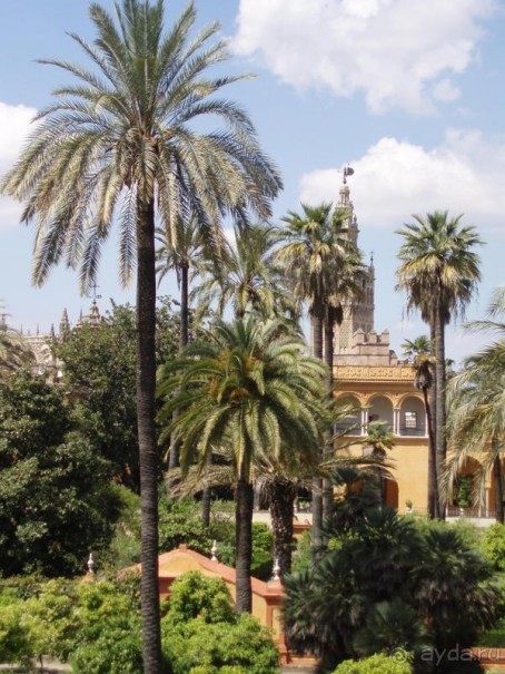 Испания: 5 городов за 5 дней (центр и Андалусия)