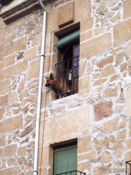 Испания: 5 городов за 5 дней (центр и Андалусия)