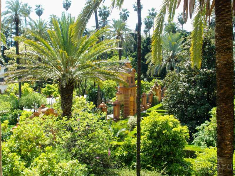 Испания: 5 городов за 5 дней (центр и Андалусия)