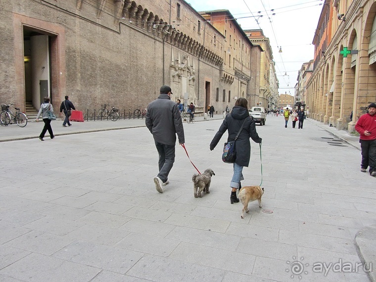 Эмилия-Романья вдоль и немного поперёк (Болонья и окрестности). Часть 2